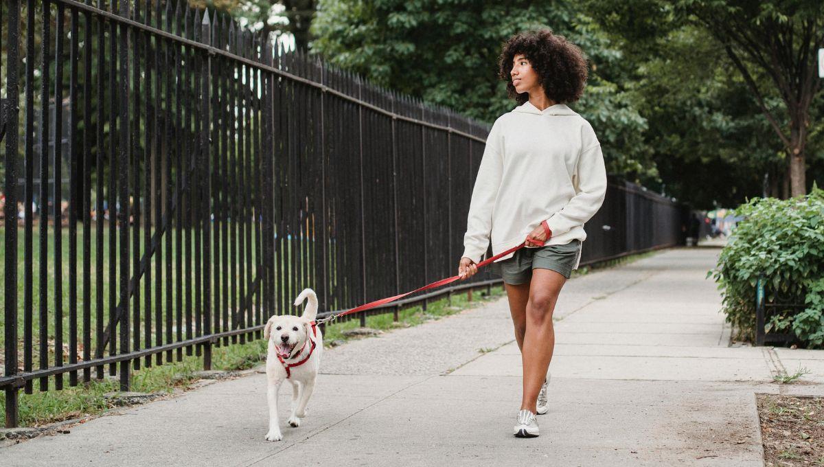 Errores comunes al pasear al perro: Lo que un coach canino recomienda evitar